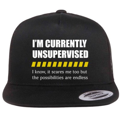 IM Currently Unsupervised I Know It Scares Me Too But The Possibilities Are End Flatbill Hat