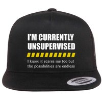 IM Currently Unsupervised I Know It Scares Me Too But The Possibilities Are End Flatbill Hat