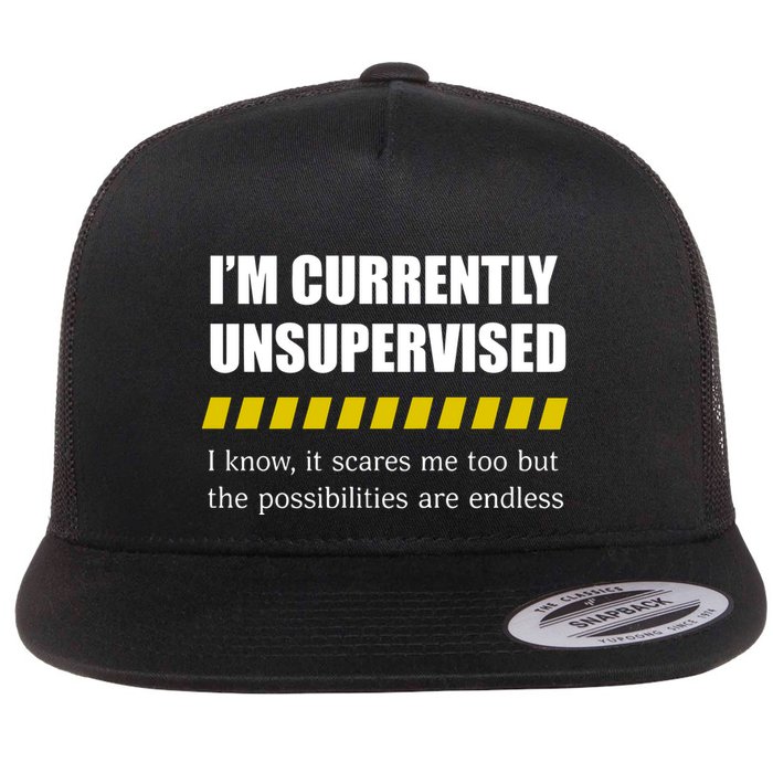 IM Currently Unsupervised I Know It Scares Me Too But The Possibilities Are End Flatbill Hat