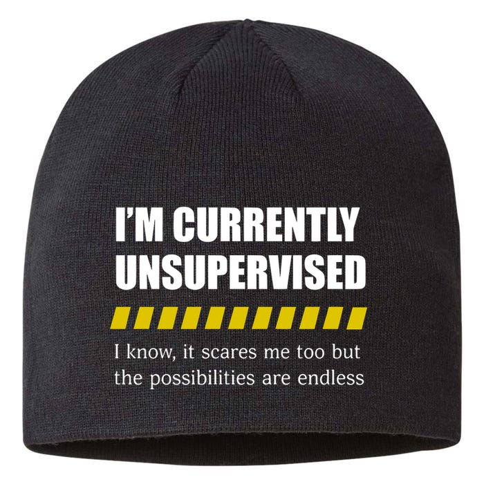 IM Currently Unsupervised I Know It Scares Me Too But The Possibilities Are End Sustainable Beanie