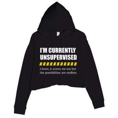 IM Currently Unsupervised I Know It Scares Me Too But The Possibilities Are End Crop Fleece Hoodie