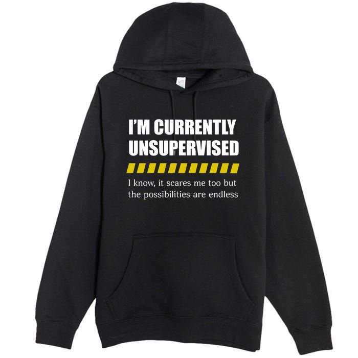 IM Currently Unsupervised I Know It Scares Me Too But The Possibilities Are End Premium Pullover Hoodie