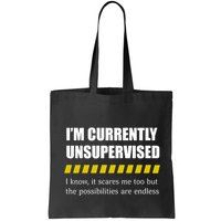 IM Currently Unsupervised I Know It Scares Me Too But The Possibilities Are End Bag