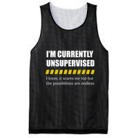 IM Currently Unsupervised I Know It Scares Me Too But The Possibilities Are End Mesh Reversible Basketball Jersey Tank