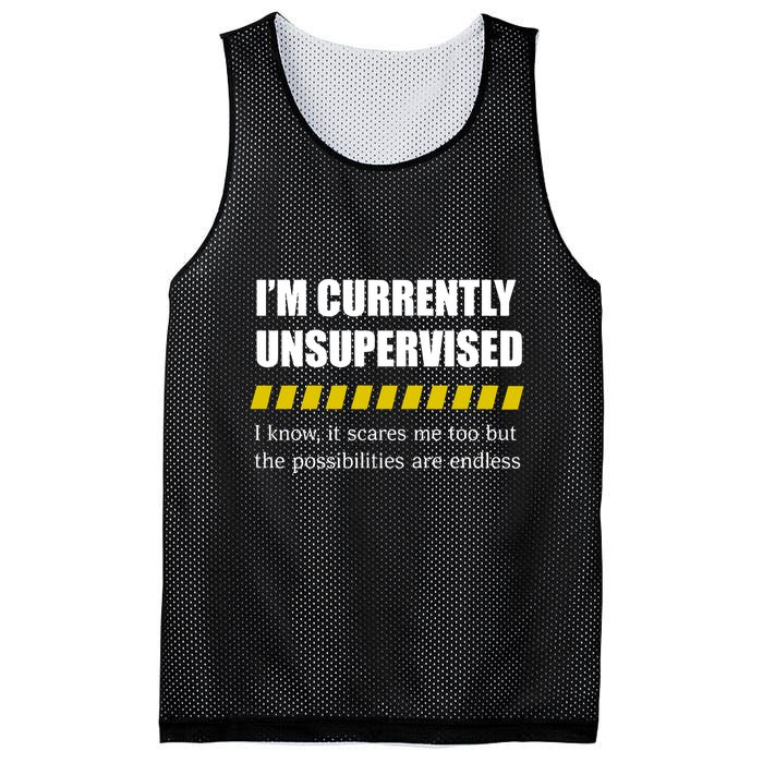 IM Currently Unsupervised I Know It Scares Me Too But The Possibilities Are End Mesh Reversible Basketball Jersey Tank
