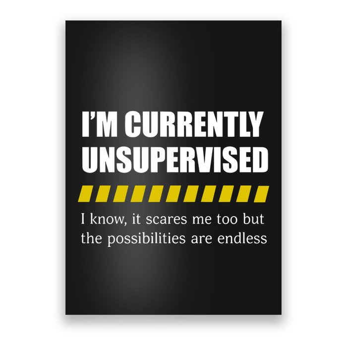 IM Currently Unsupervised I Know It Scares Me Too But The Possibilities Are End Poster