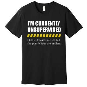 IM Currently Unsupervised I Know It Scares Me Too But The Possibilities Are End Premium T-Shirt