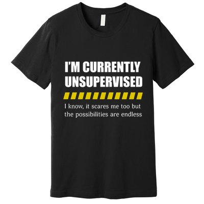 IM Currently Unsupervised I Know It Scares Me Too But The Possibilities Are End Premium T-Shirt