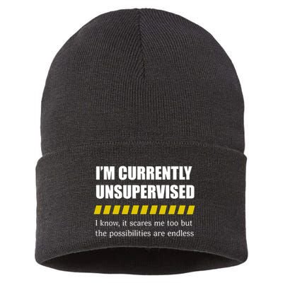 IM Currently Unsupervised I Know It Scares Me Too But The Possibilities Are End Sustainable Knit Beanie
