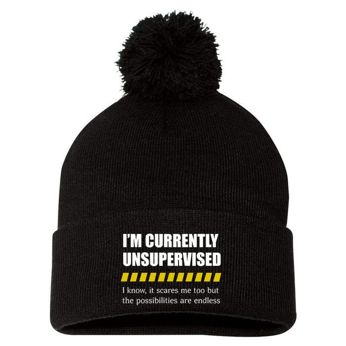 IM Currently Unsupervised I Know It Scares Me Too But The Possibilities Are End Pom Pom 12in Knit Beanie