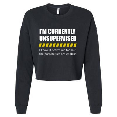 IM Currently Unsupervised I Know It Scares Me Too But The Possibilities Are End Cropped Pullover Crew