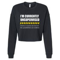 IM Currently Unsupervised I Know It Scares Me Too But The Possibilities Are End Cropped Pullover Crew