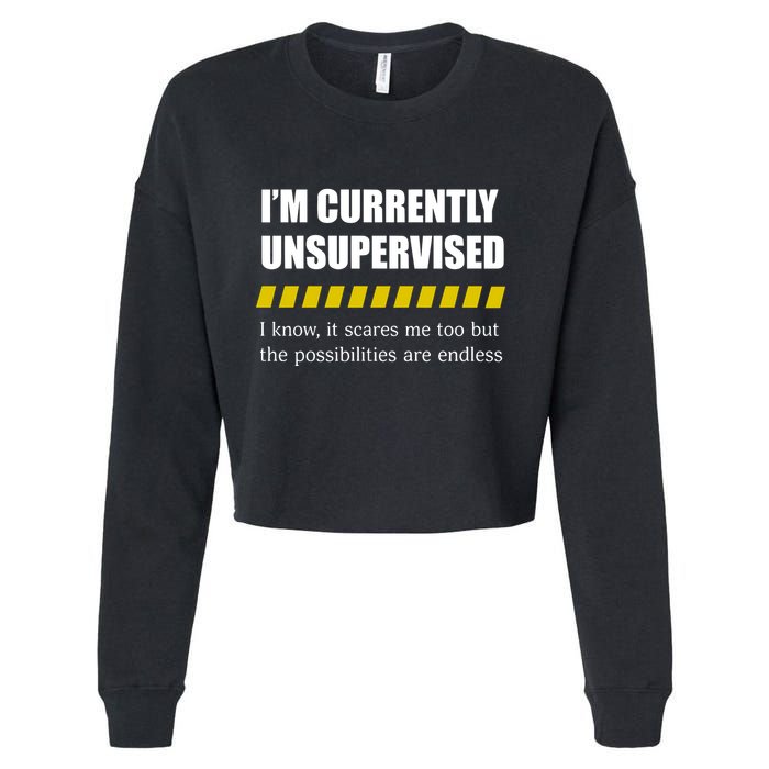 IM Currently Unsupervised I Know It Scares Me Too But The Possibilities Are End Cropped Pullover Crew