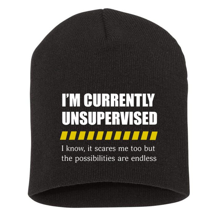 IM Currently Unsupervised I Know It Scares Me Too But The Possibilities Are End Short Acrylic Beanie
