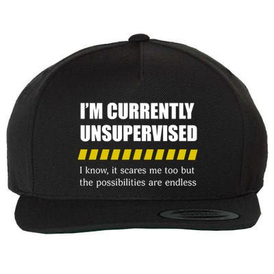 IM Currently Unsupervised I Know It Scares Me Too But The Possibilities Are End Wool Snapback Cap