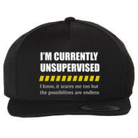 IM Currently Unsupervised I Know It Scares Me Too But The Possibilities Are End Wool Snapback Cap