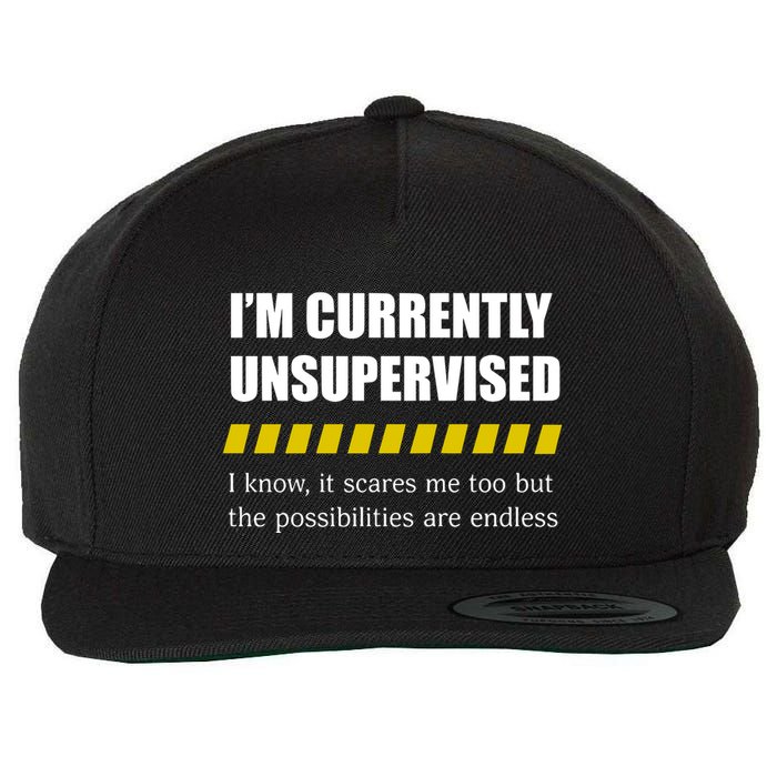 IM Currently Unsupervised I Know It Scares Me Too But The Possibilities Are End Wool Snapback Cap