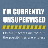 IM Currently Unsupervised I Know It Scares Me Too But The Possibilities Are End Garment-Dyed Sweatshirt