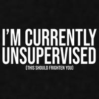 Im Currently Unsupervised This Should Frighten You Funny Ladies PosiCharge Tri-Blend Wicking Tank
