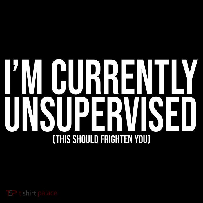 Im Currently Unsupervised This Should Frighten You Funny Sweatshirt