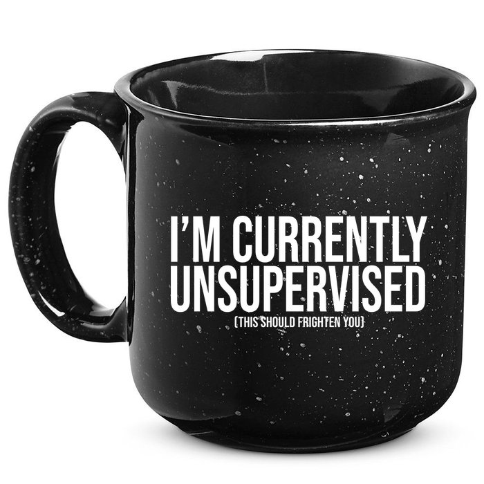 Im Currently Unsupervised This Should Frighten You Funny 15oz Campfire Ceramic Mug