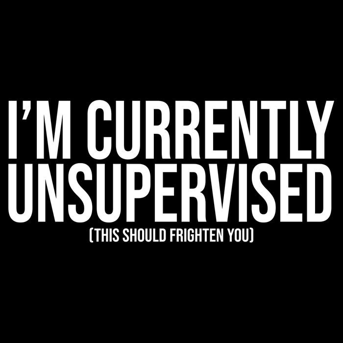 Im Currently Unsupervised This Should Frighten You Funny Drawstring Bag