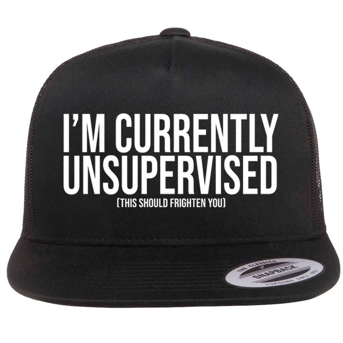 Im Currently Unsupervised This Should Frighten You Funny Flat Bill Trucker Hat