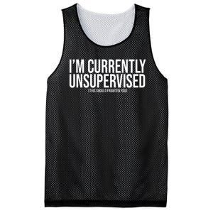 Im Currently Unsupervised This Should Frighten You Funny Mesh Reversible Basketball Jersey Tank