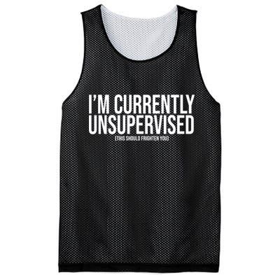 Im Currently Unsupervised This Should Frighten You Funny Mesh Reversible Basketball Jersey Tank