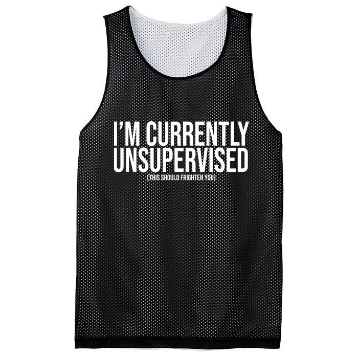 Im Currently Unsupervised This Should Frighten You Funny Mesh Reversible Basketball Jersey Tank