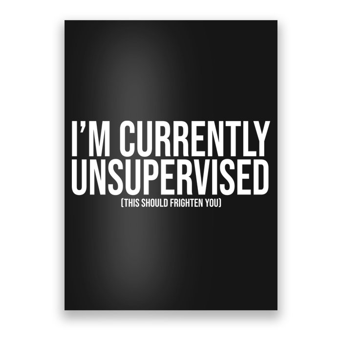 Im Currently Unsupervised This Should Frighten You Funny Poster