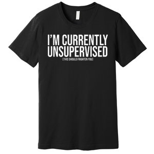 Im Currently Unsupervised This Should Frighten You Funny Premium T-Shirt