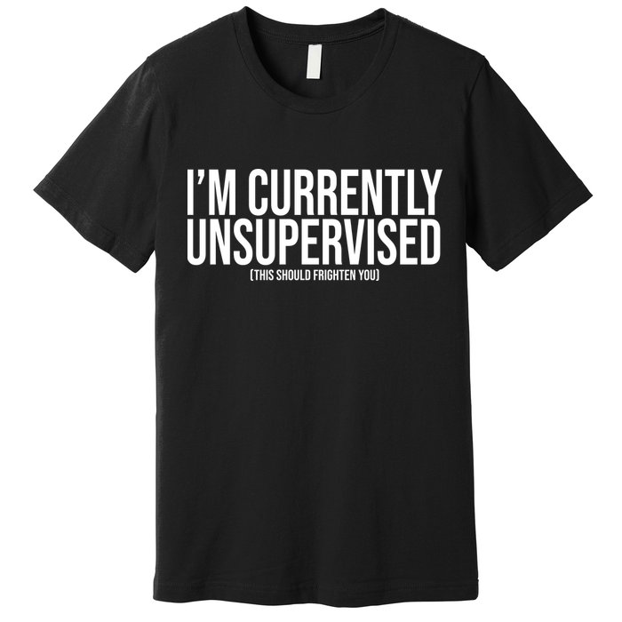 Im Currently Unsupervised This Should Frighten You Funny Premium T-Shirt