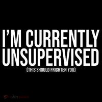 Im Currently Unsupervised This Should Frighten You Funny Sustainable Knit Beanie