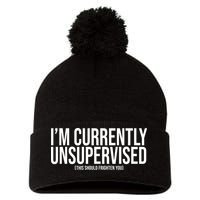 Im Currently Unsupervised This Should Frighten You Funny Pom Pom 12in Knit Beanie