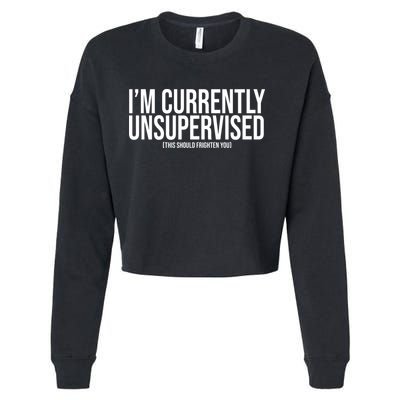 Im Currently Unsupervised This Should Frighten You Funny Cropped Pullover Crew