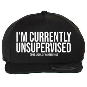 Im Currently Unsupervised This Should Frighten You Funny Wool Snapback Cap