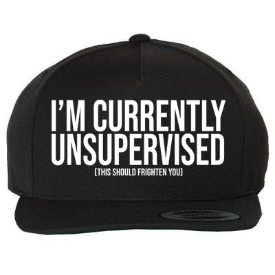 Im Currently Unsupervised This Should Frighten You Funny Wool Snapback Cap