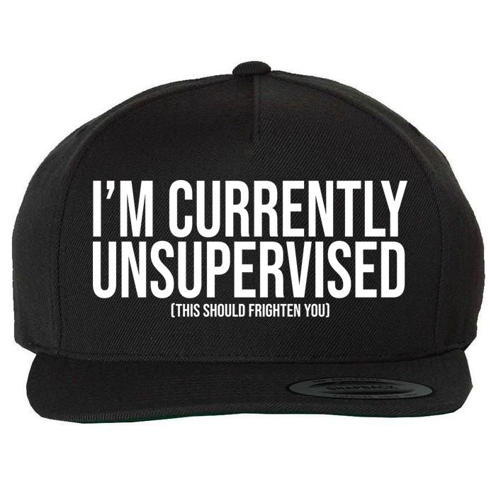 Im Currently Unsupervised This Should Frighten You Funny Wool Snapback Cap