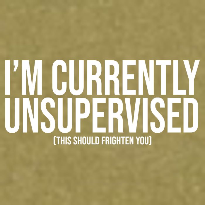 Im Currently Unsupervised This Should Frighten You Funny Garment-Dyed Women's Muscle Tee