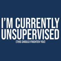 Im Currently Unsupervised This Should Frighten You Funny Infant Baby Jersey Bodysuit