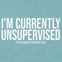Im Currently Unsupervised This Should Frighten You Funny Sueded Cloud Jersey T-Shirt