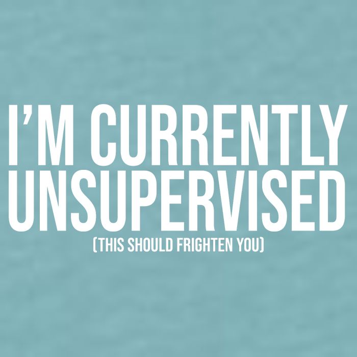 Im Currently Unsupervised This Should Frighten You Funny Sueded Cloud Jersey T-Shirt