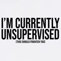 Im Currently Unsupervised This Should Frighten You Funny Garment-Dyed Sweatshirt