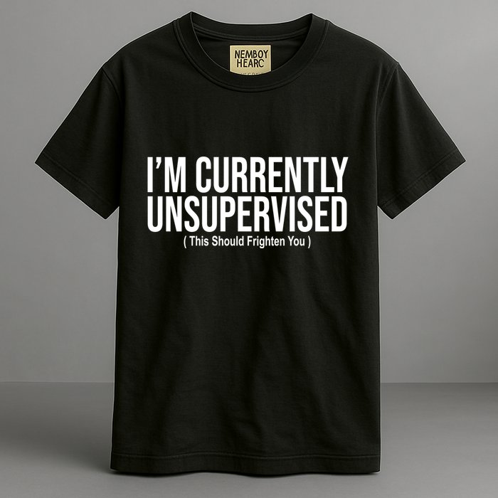 Im Currently Unsupervised This Should Frighten You Funny Garment-Dyed Heavyweight T-Shirt