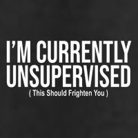 Im Currently Unsupervised This Should Frighten You Funny 7 Panel Mesh Trucker Snapback Hat