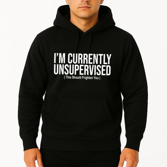 Im Currently Unsupervised This Should Frighten You Funny Hoodie