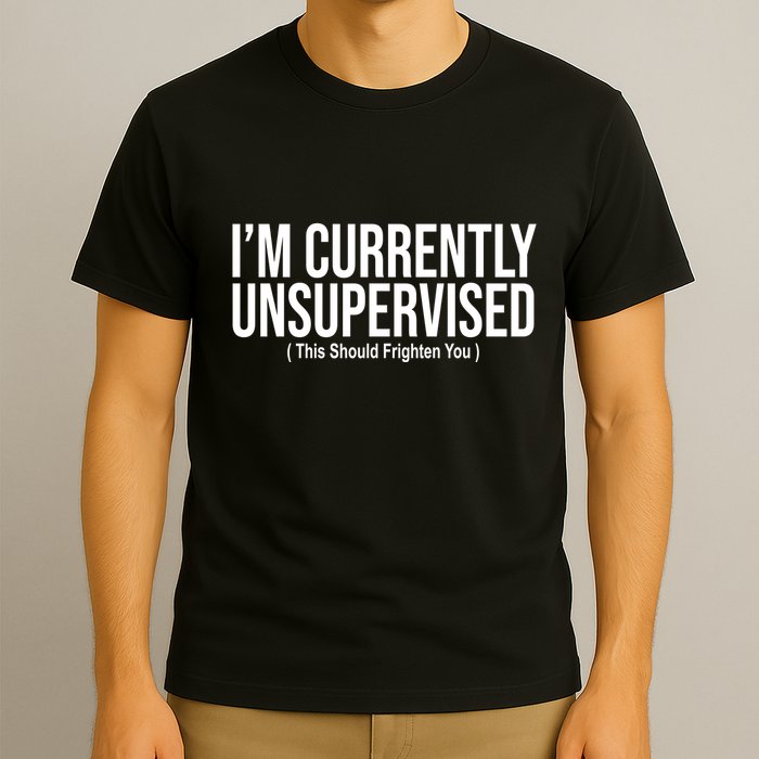 Im Currently Unsupervised This Should Frighten You Funny T-Shirt