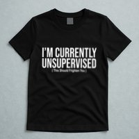 Im Currently Unsupervised This Should Frighten You Funny T-Shirt