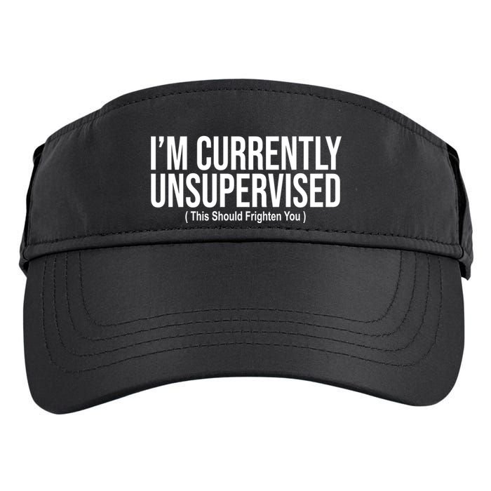 Im Currently Unsupervised This Should Frighten You Funny Adult Drive Performance Visor